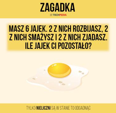 Zagadka