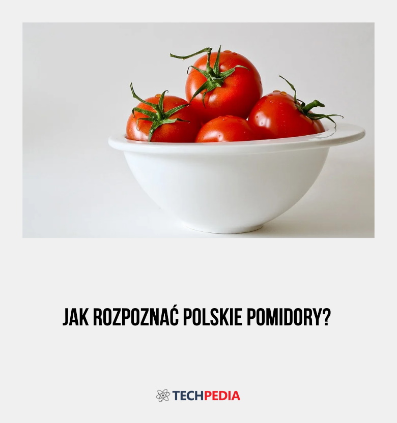Jak rozpoznać polskie pomidory?