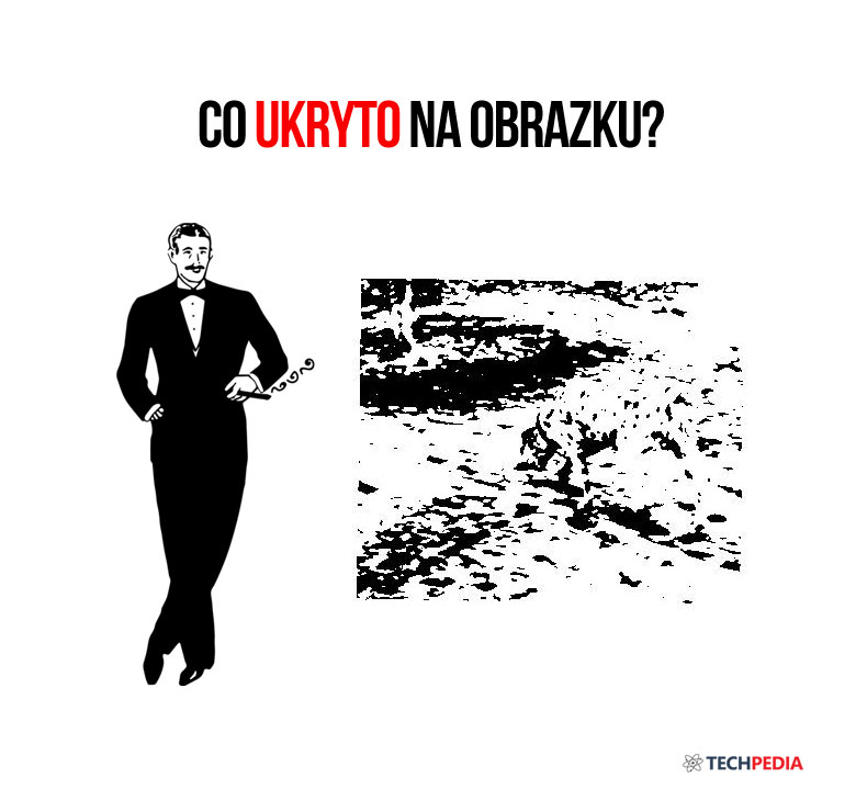 Co ukryto na obrazku?