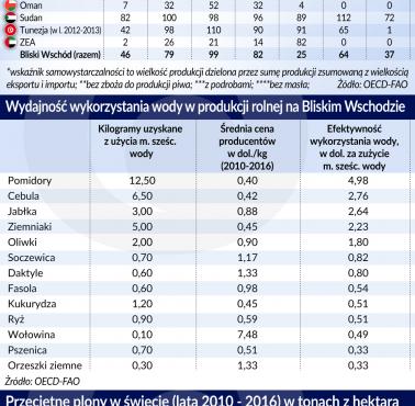 Bliski Wschód sam się nie wyżywi