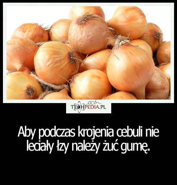 Aby podczas krojenia cebuli nie leciały łzy należy ...