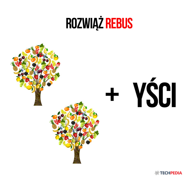 Rozwiąż rebus