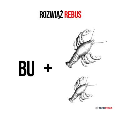 Rozwiąż rebus