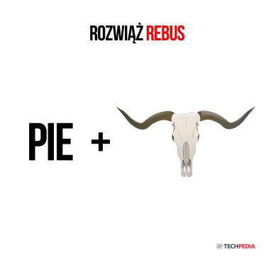 Rozwiąż rebus