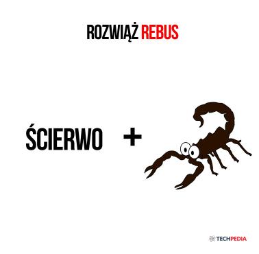 Rozwiąż rebus