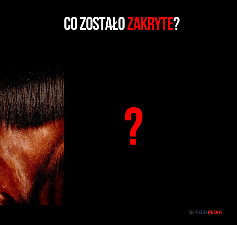 Co zostało zakryte?