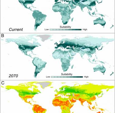 Wynikające z ocieplenia klimatu przewidywane przesunięcie geograficzne korzystnych warunków w ciągu najbliższych 50 lat