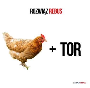 Rozwiąż rebus