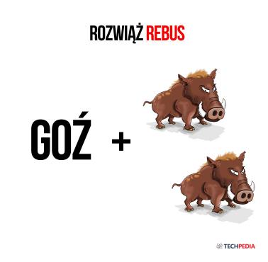 Rozwiąż rebus