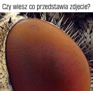 Czy wiesz co przedstawia zdjęcie?