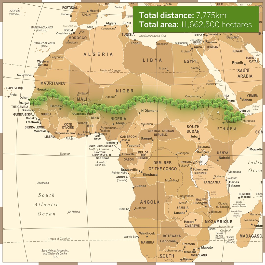 Dzięki globalnemu ociepleniu Sahara się zieleni. Unia Afrykańska prowadzi inicjatywę zasadzenia Wielkiego Zielonego Muru 7775 km