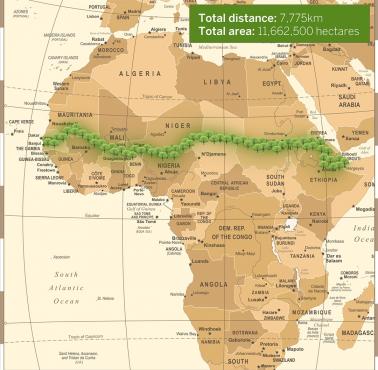 Dzięki globalnemu ociepleniu Sahara się zieleni. Unia Afrykańska prowadzi inicjatywę zasadzenia Wielkiego Zielonego Muru 7775 km
