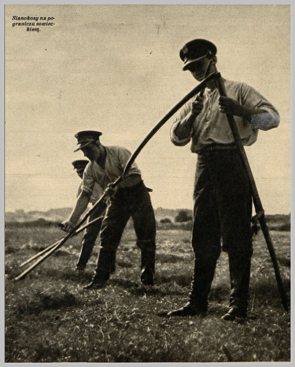 1934. Żołnierze Korpusu Ochrony Pogranicza pomagają w sianokosach na pograniczu z ZSRR