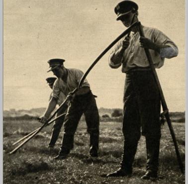 1934. Żołnierze Korpusu Ochrony Pogranicza pomagają w sianokosach na pograniczu z ZSRR