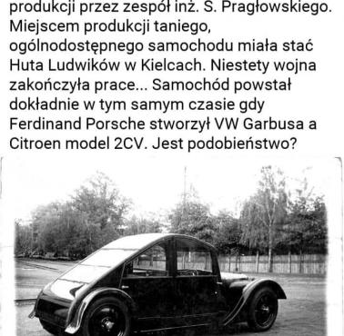 Polski Garbus