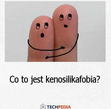 Co to jest kenosilikafobia?