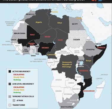 Ruchy salaficko-dżihadystyczne np: Al-Kaida w Afryce: luty 2021