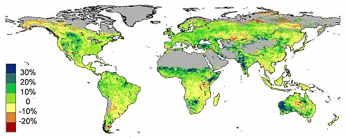 Procentowe zazielenienie się obszarów w latach 1982–2010 dzięki rosnącemu poziomowi CO2. Efekt globalnego ocieplenia
