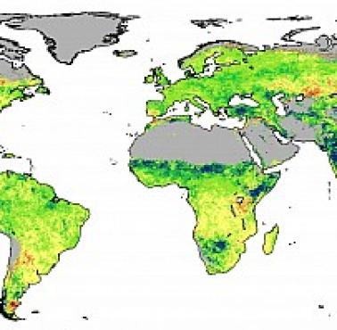 Procentowe zazielenienie się obszarów w latach 1982–2010 dzięki rosnącemu poziomowi CO2. Efekt globalnego ocieplenia