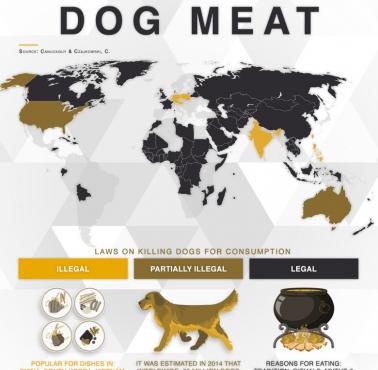 Światowe przepisy dotyczące zabijania psów w celach konsumpcyjnych