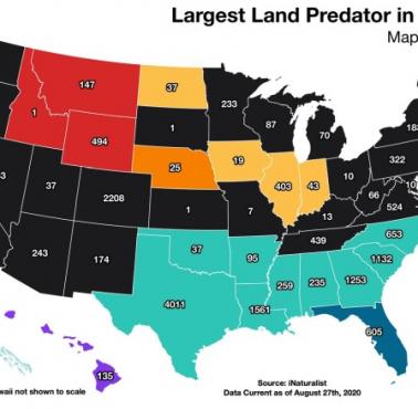 Największy drapieżnik lądowy w każdym stanie USA, 2020