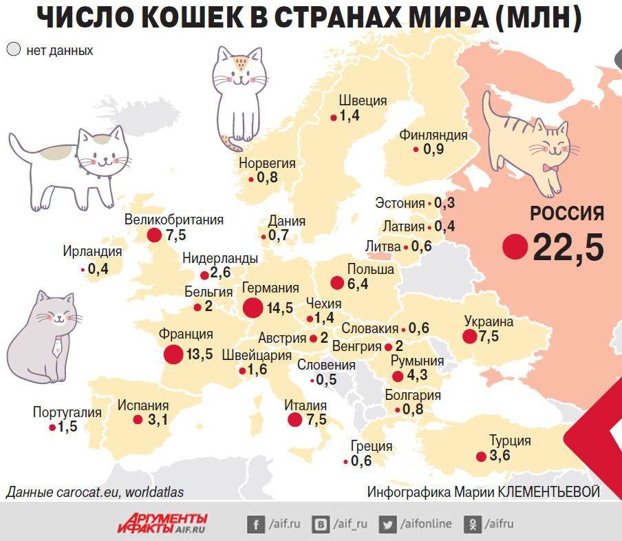 Liczba kotów w Europie