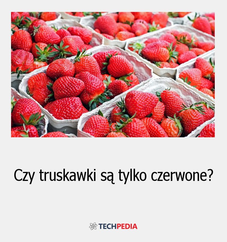 Czy truskawki są tylko czerwone?