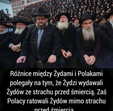 Różnice między Żydami i Polakami ...