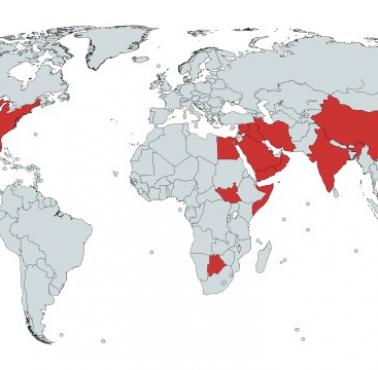 Kraje które wykonały karę śmierci w 2020 roku, Amnesty International