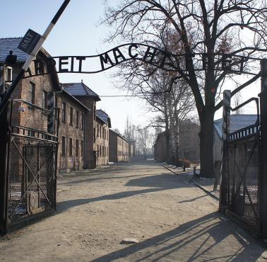 Polaków do obozu KL Auschwitz trafiło 140 tysięcy, obozu nie przetrwało 64 tysiące ...