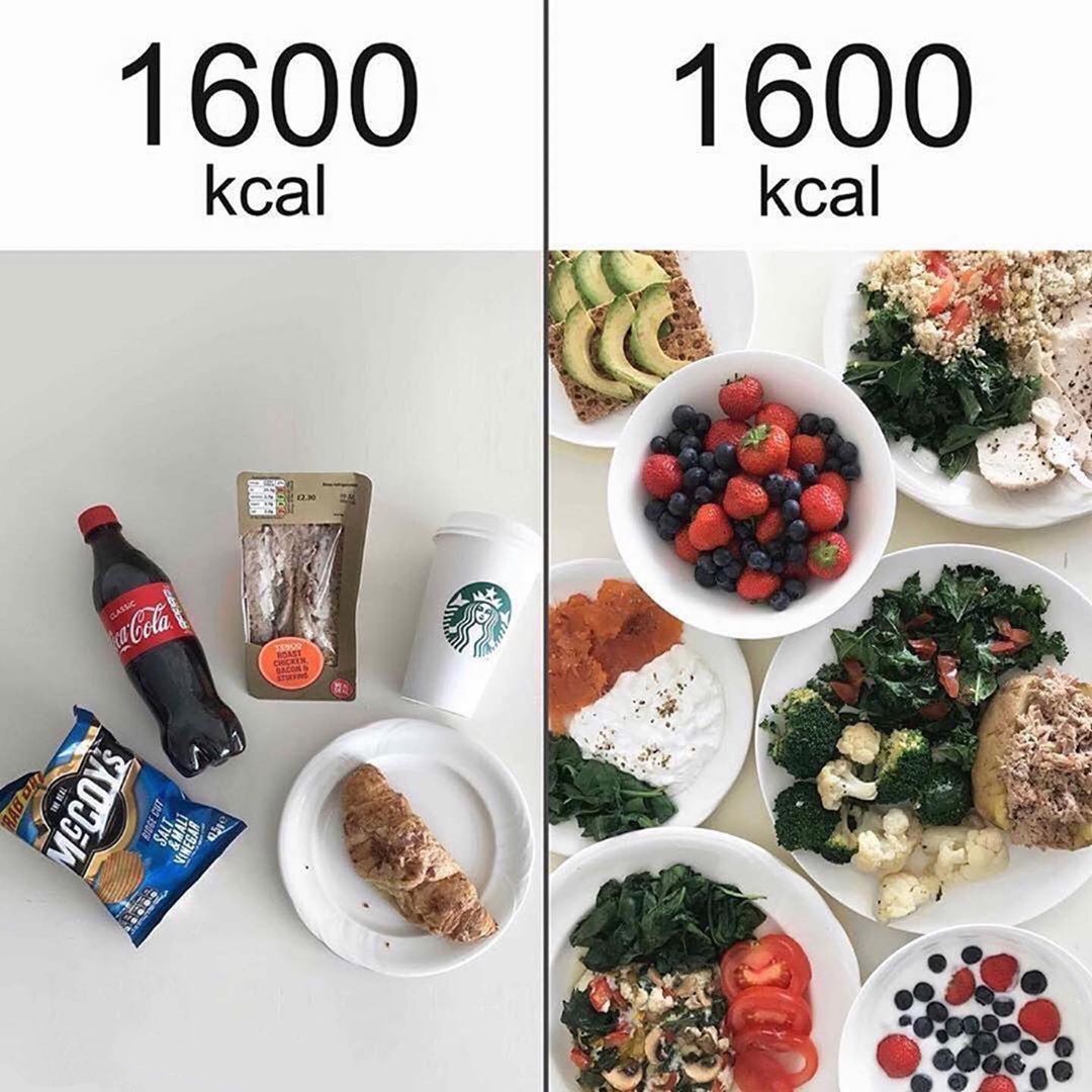 1600 kcal vs. 1600 kcal