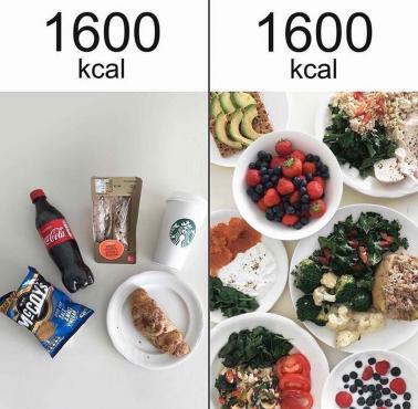 1600 kcal vs. 1600 kcal