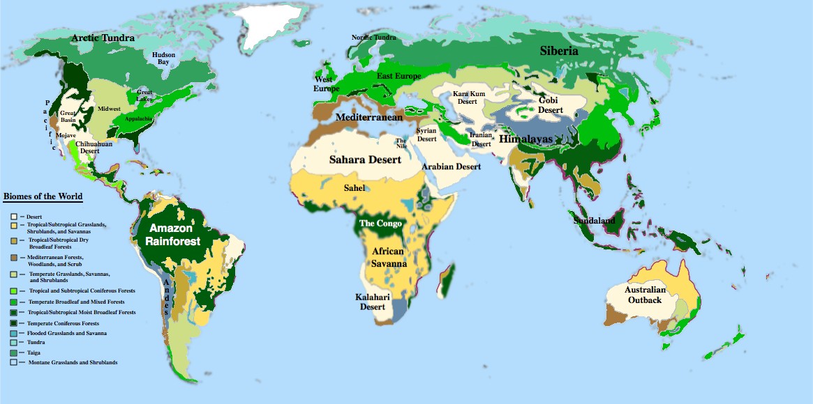 Mapa biomów świata