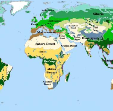 Mapa biomów świata