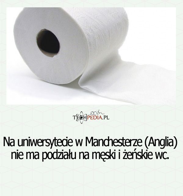 Na uniwersytecie w Manchesterze (Anglia) nie ma podziału na ...