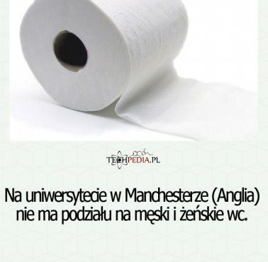 Na uniwersytecie w Manchesterze (Anglia) nie ma podziału na ...