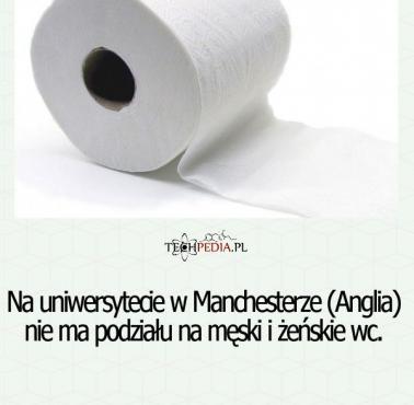 Na uniwersytecie w Manchesterze (Anglia) nie ma podziału na ...