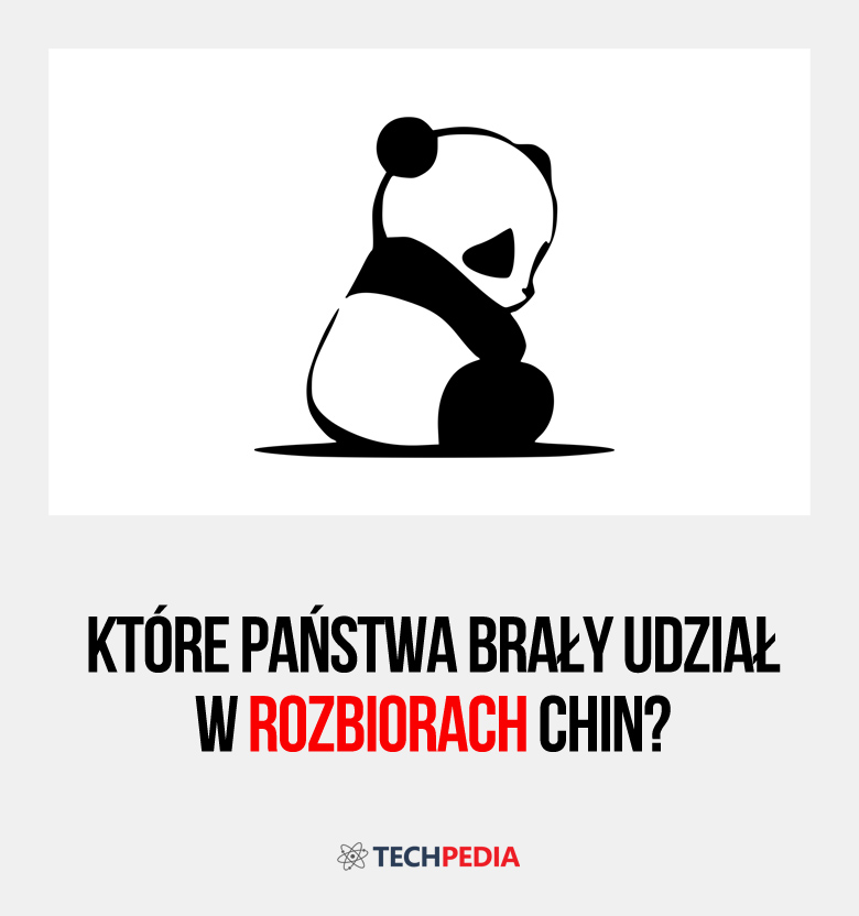 Które państwa brały udział w rozbiorach Chin?