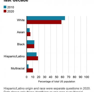 Zmiany etniczne w USA, 2010, 2020. Marzenie Billa Clintona i diaspory o państwie multi-kulti zaczyna się spełniać