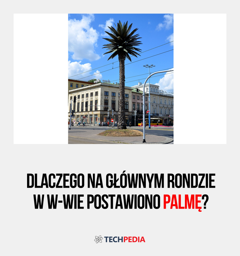 Dlaczego na głównym rondzie w W-wie postawiono palmę?