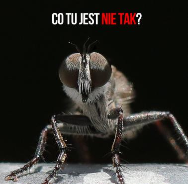 Co tu jest nie tak?