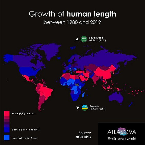 Jak zmieniał się wzrost człowieka na świecie w latach 1980-2019