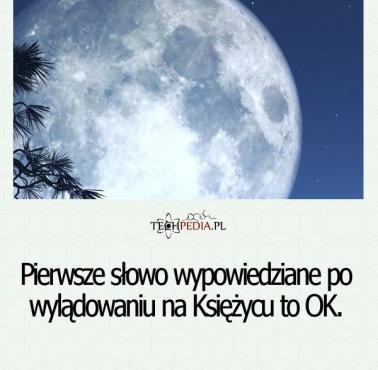 Pierwsze słowo wypowiedziane po wylądowaniu na Księżycu to ....