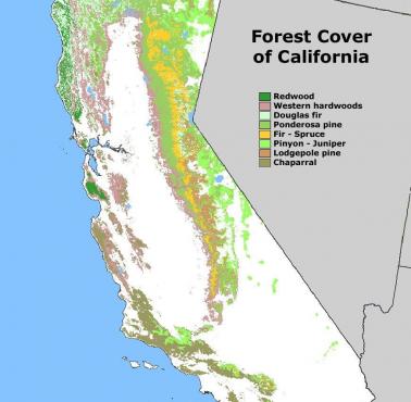 Zalesienie (lesistość) Kalifornii