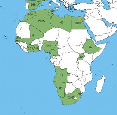 Kraje afrykańskie według długości sieci autostrad, OpenStreetMap