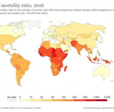 Wskaźnik śmiertelności matek na 100 tys. żywych urodzeń, 2016