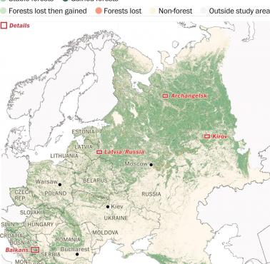 Zalesienie (lesistość) w Europie Wschodniej