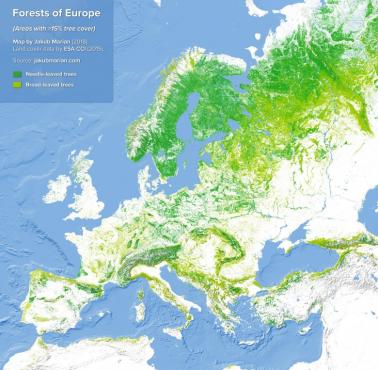 Zalesienie (lesistość) Europy, 2015, 2018