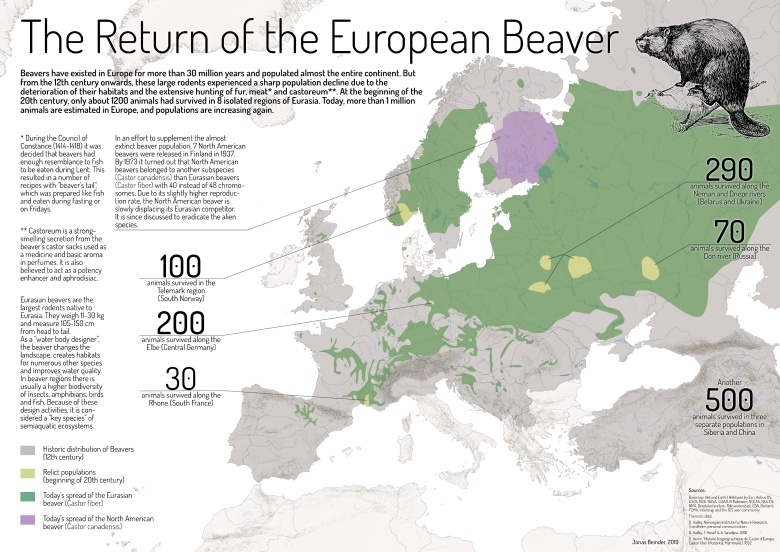 Powrót bobra europejskiego, 2019