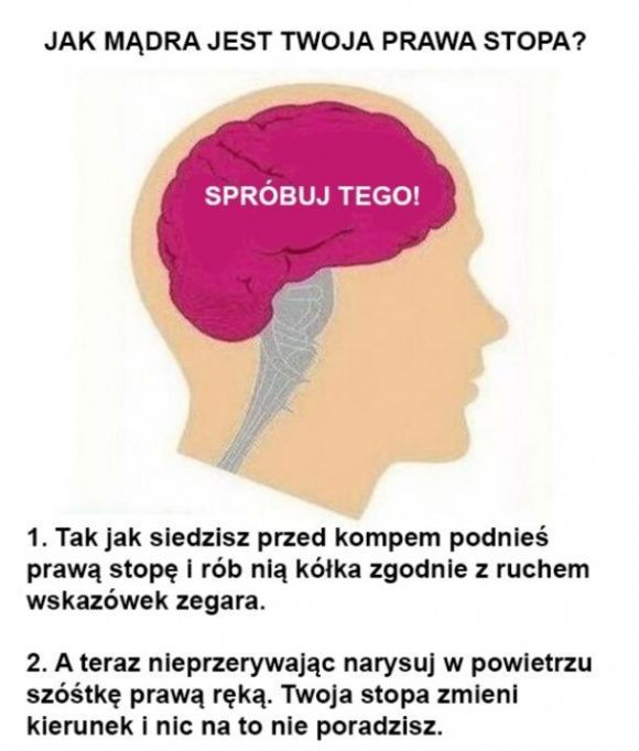 Jak mądra jest twoja prawa stopa?